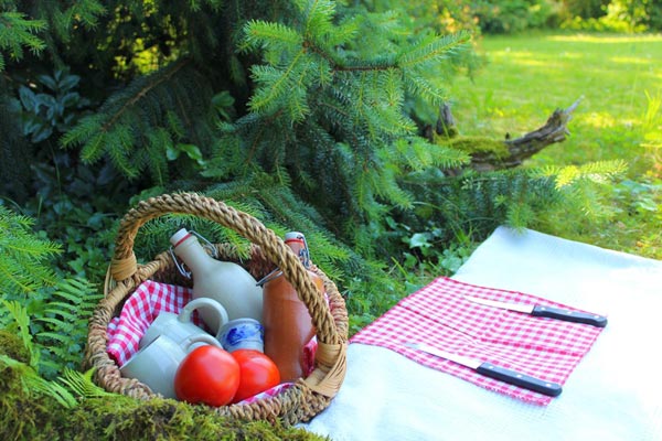 Piknik v přírodě 