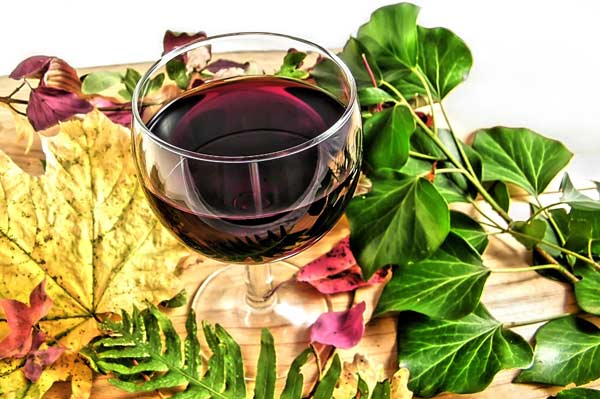 Svatomartinské víno a svatomartinská husa