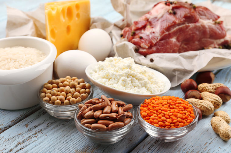 Základní složky stravy: sacharidy, bílkoviny a tuky